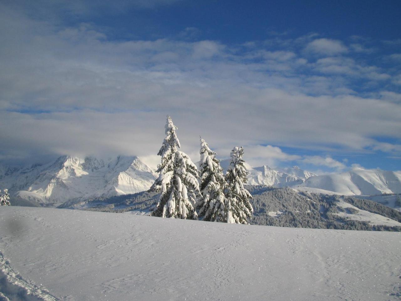 Alp-Hotel Megève Esterno foto